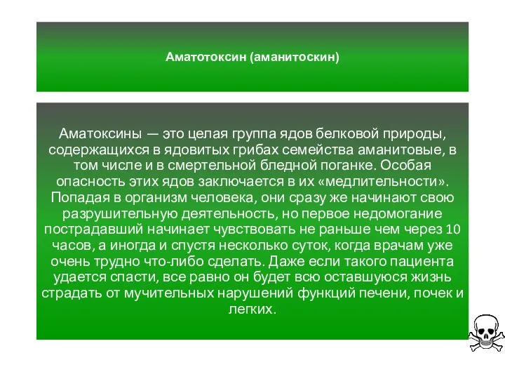 Аматотоксин (аманитоскин) Аматоксины — это целая группа ядов белковой природы,