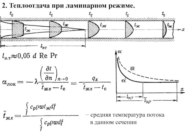 2. Теплоотдача при ламинарном режиме. − средняя температура потока в данном сечении