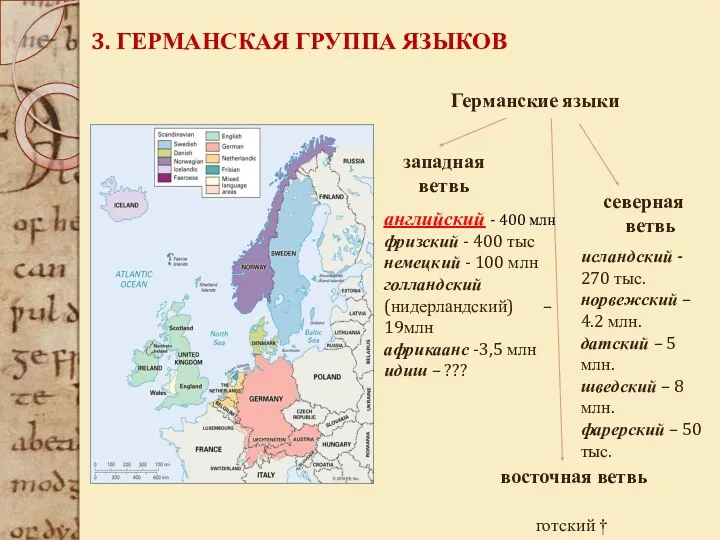 3. ГЕРМАНСКАЯ ГРУППА ЯЗЫКОВ Германские языки западная ветвь восточная ветвь