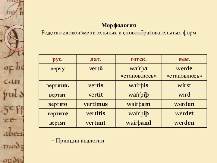 + Принцип аналогии Морфология Родство словоизменительных и словообразовательных форм