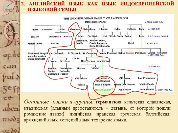 2. АНГЛИЙСКИЙ ЯЗЫК КАК ЯЗЫК ИНДОЕВРОПЕЙСКОЙ ЯЗЫКОВОЙ СЕМЬИ Основные языки