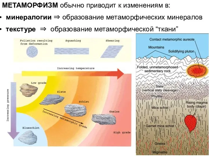 МЕТАМОРФИЗМ обычно приводит к изменениям в: минералогии ⇒ образование метаморфических минералов текстуре ⇒ образование метаморфической “ткани”