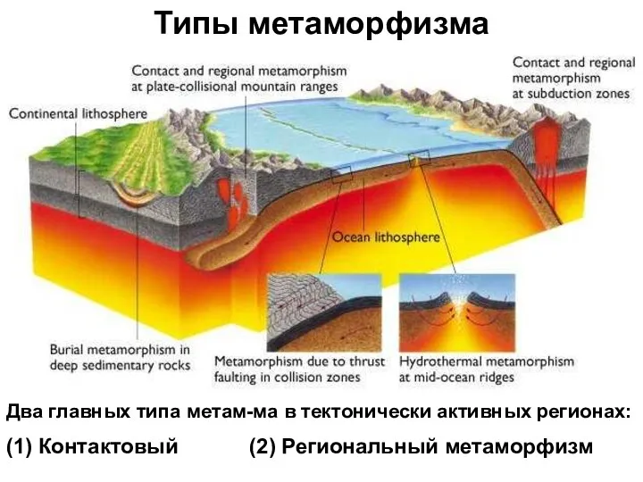 Типы метаморфизма Два главных типа метам-ма в тектонически активных регионах: (1) Контактовый (2) Региональный метаморфизм