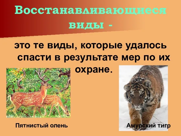 Восстанавливающиеся виды - это те виды, которые удалось спасти в