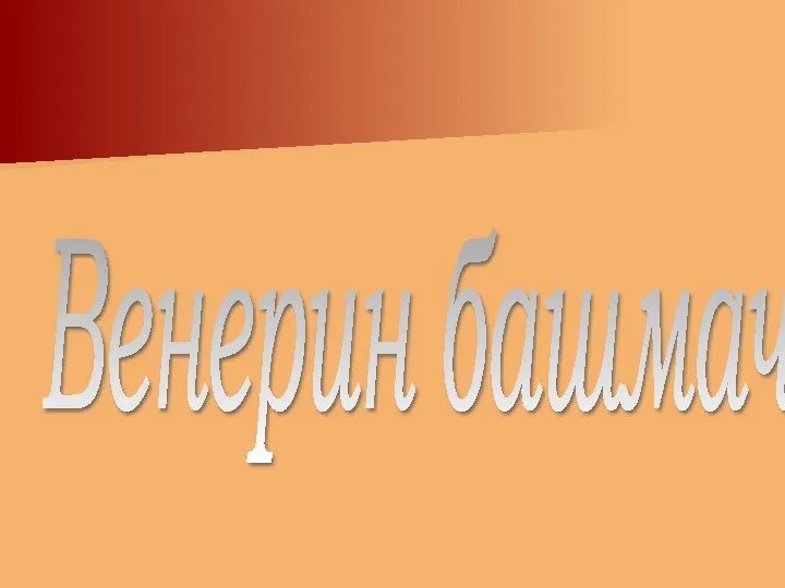 Венерин башмачок