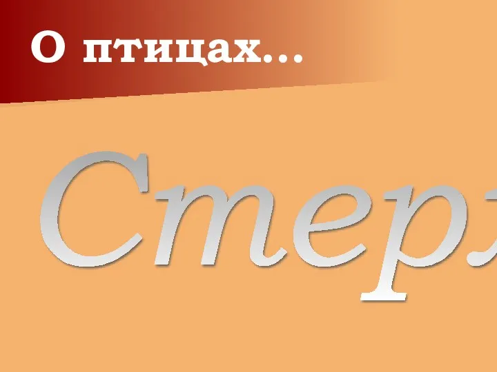 О птицах… Стерх