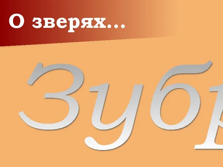 О зверях… Зубр