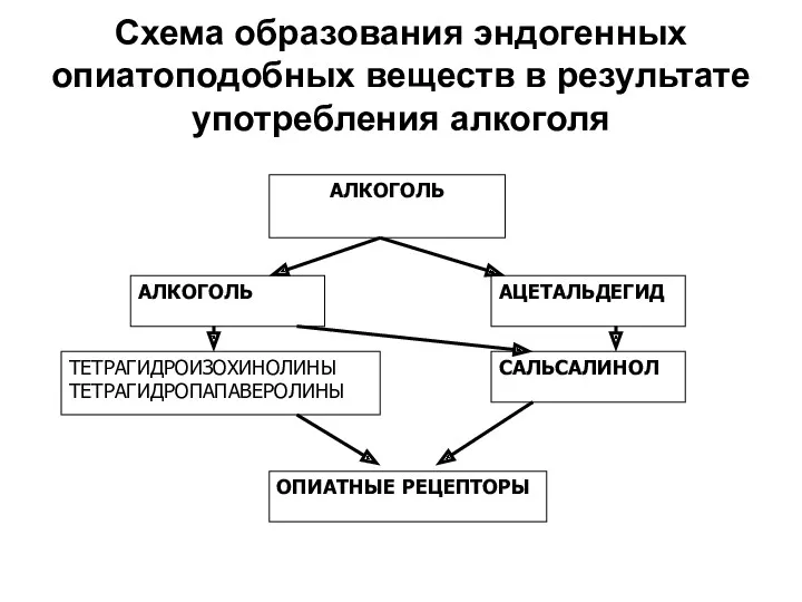 Схема образования эндогенных опиатоподобных веществ в результате употребления алкоголя