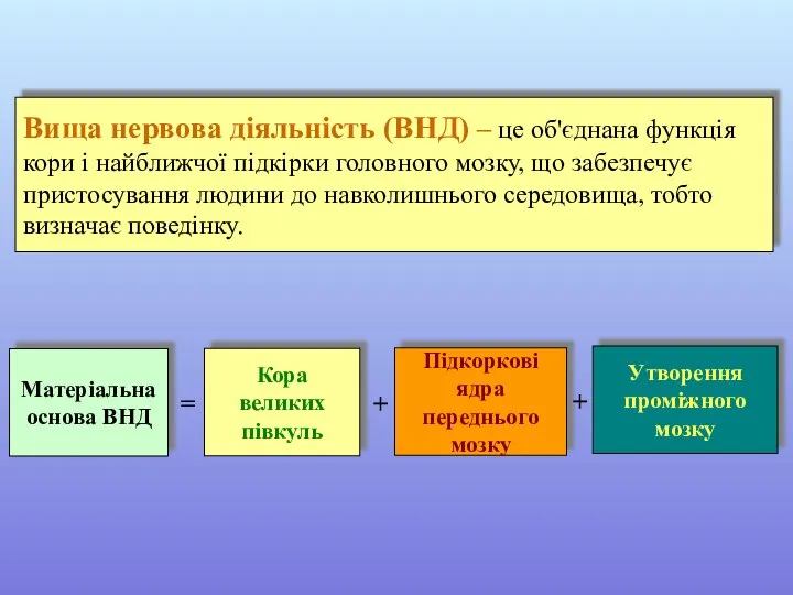 Вища нервова діяльність (ВНД) – це об'єднана функція кори і