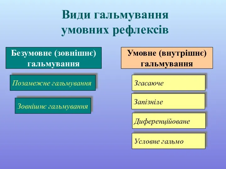 Види гальмування умовних рефлексів Безумовне (зовнішнє) гальмування Позамежне гальмування Зовнішнє