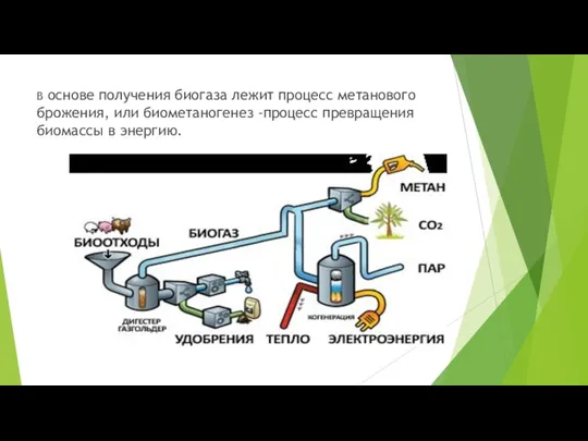 В основе получения биогаза лежит процесс метанового брожения, или биометаногенез -процесс превращения биомассы в энергию.