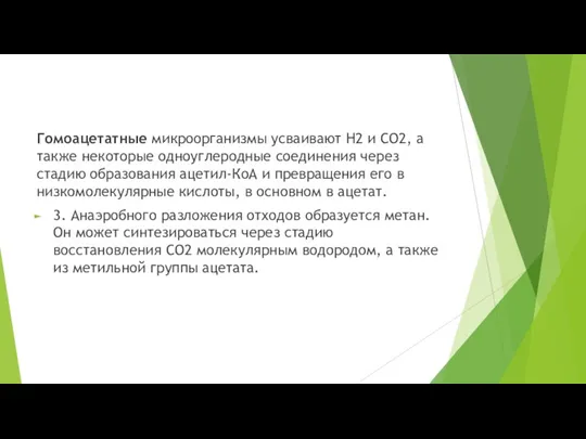 Гомоацетатные микроорганизмы усваивают Н2 и СО2, а также некоторые одноуглеродные