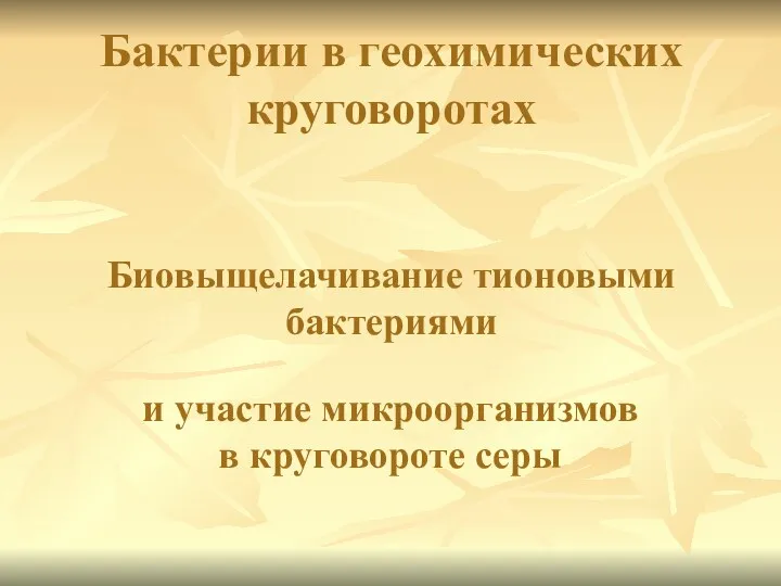 Бактерии в геохимических круговоротах Биовыщелачивание тионовыми бактериями и участие микроорганизмов в круговороте серы