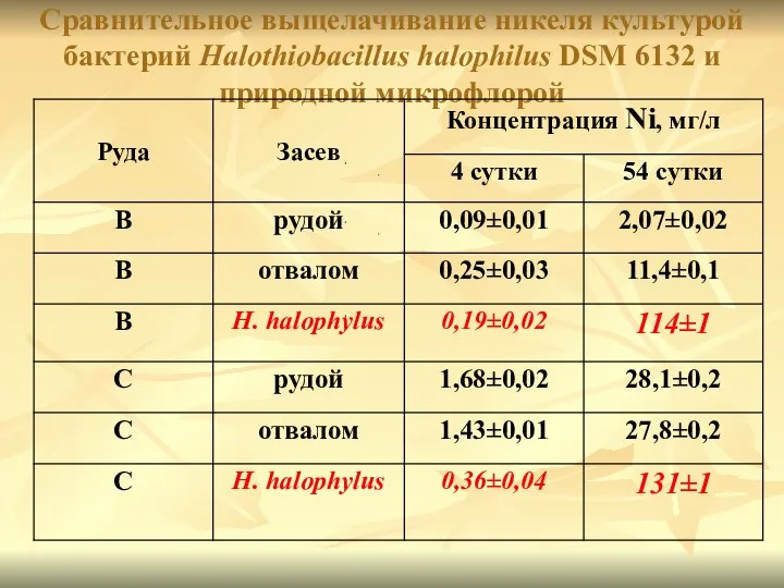 Сравнительное выщелачивание никеля культурой бактерий Halothiobacillus halophilus DSM 6132 и природной микрофлорой