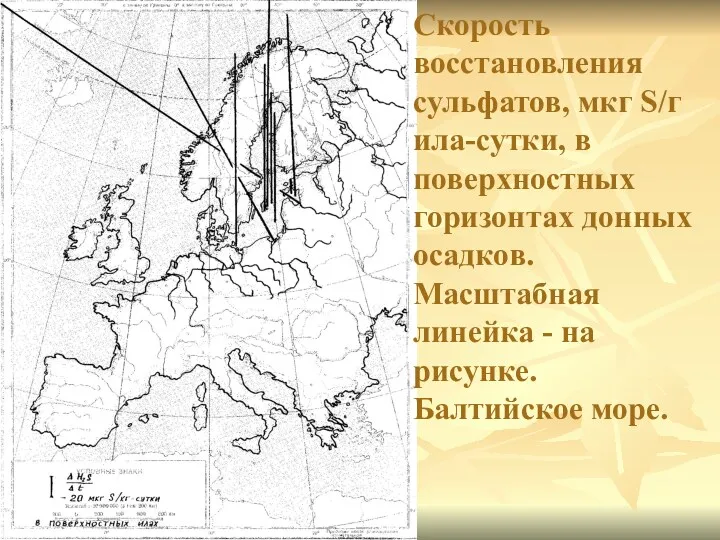 Скорость восстановления сульфатов, мкг S/г ила-сутки, в поверхностных горизонтах донных