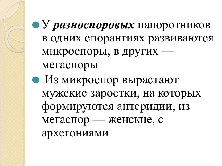 У разноспоровых папоротников в одних спорангиях развиваются микроспоры, в других