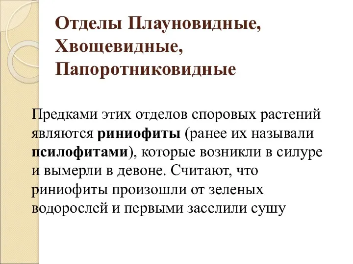 Отделы Плауновидные, Хвощевидные, Папоротниковидные Предками этих отделов споровых растений являются