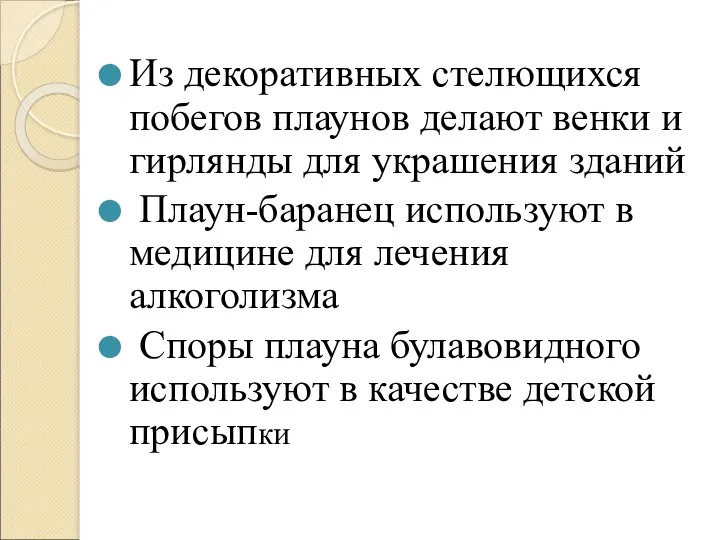 Из декоративных стелющихся побегов плаунов делают венки и гирлянды для