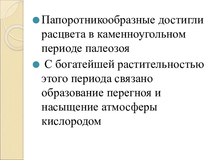 Папоротникообразные достигли расцвета в каменноугольном периоде палеозоя С богатейшей растительностью