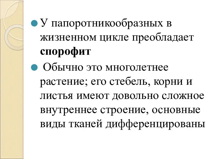 У папоротникообразных в жизненном цикле преобладает спорофит Обычно это многолетнее