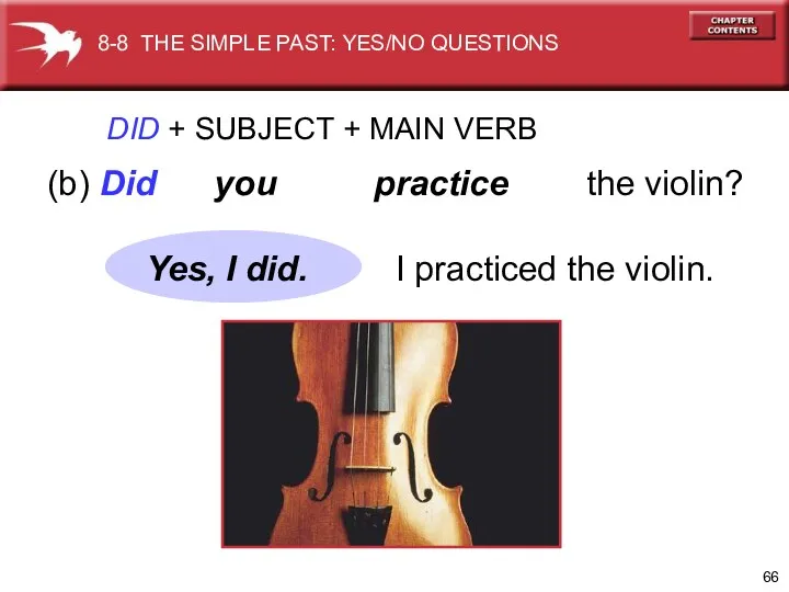 DID + SUBJECT + MAIN VERB (b) Did you practice the violin? I