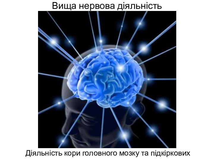 Вища нервова діяльність Діяльність кори головного мозку та підкіркових структур анімація