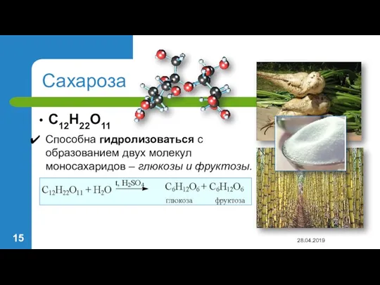 Сахароза С12Н22О11 28.04.2019 Способна гидролизоваться с образованием двух молекул моносахаридов – глюкозы и фруктозы.