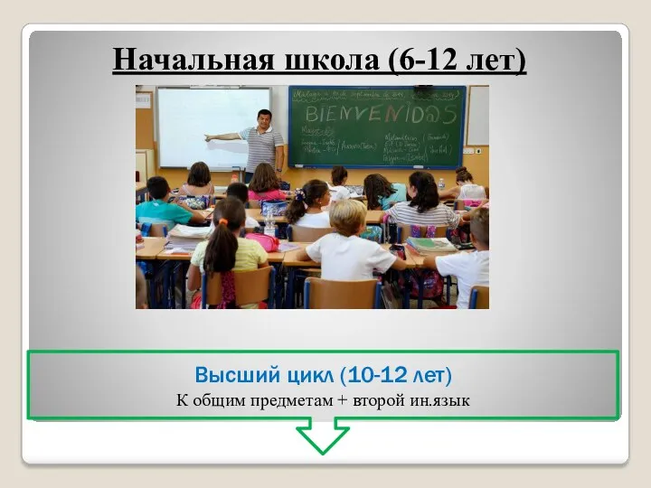 Начальная школа (6-12 лет) Высший цикл (10-12 лет) К общим предметам + второй ин.язык