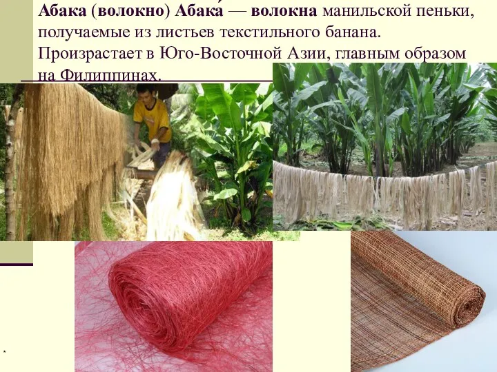 Абака (волокно) Абака́ — волокна манильской пеньки, получаемые из листьев текстильного банана. Произрастает