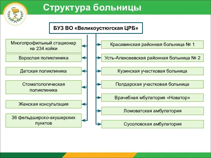 Структура больницы БУЗ ВО «Великоустюгская ЦРБ» Многопрофильный стационар на 234