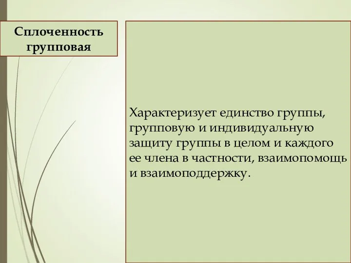 Характеризует единство группы, групповую и индивидуальную защиту группы в целом