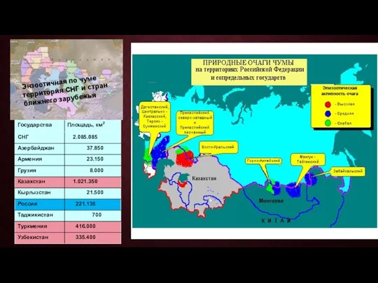 Энзоотичная по чуме территория СНГ и стран ближнего зарубежья