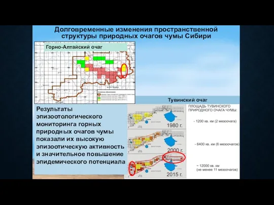 Долговременные изменения пространственной структуры природных очагов чумы Сибири Результаты эпизоотологического