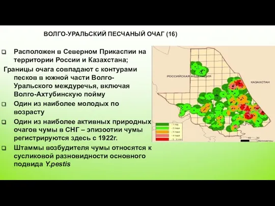 ВОЛГО-УРАЛЬСКИЙ ПЕСЧАНЫЙ ОЧАГ (16) Расположен в Северном Прикаспии на территории