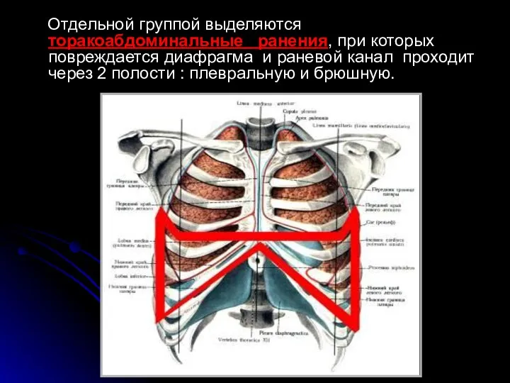 Отдельной группой выделяются торакоабдоминальные ранения, при которых повреждается диафрагма и