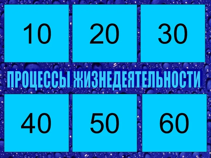 10 40 50 60 20 30 ПРОЦЕССЫ ЖИЗНЕДЕЯТЕЛЬНОСТИ