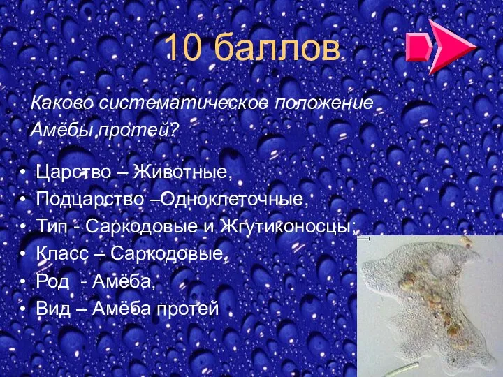 10 баллов Каково систематическое положение Амёбы протей? Царство – Животные,