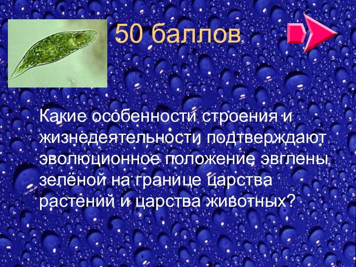 50 баллов Какие особенности строения и жизнедеятельности подтверждают эволюционное положение