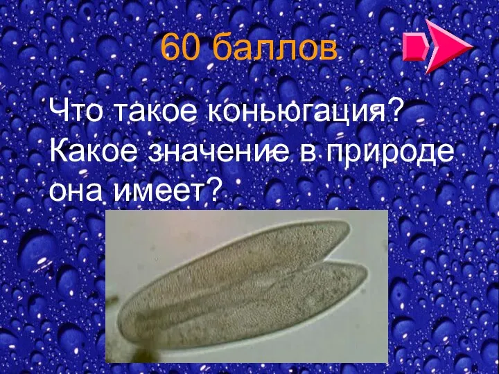 60 баллов Что такое коньюгация? Какое значение в природе она имеет?