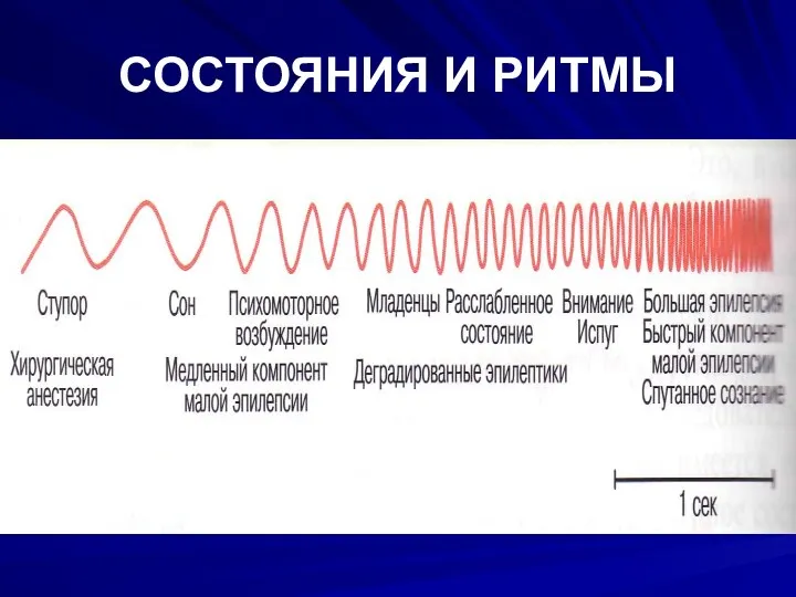 СОСТОЯНИЯ И РИТМЫ