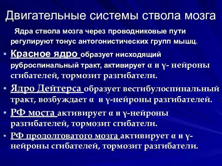 Двигательные системы ствола мозга Ядра ствола мозга через проводниковые пути