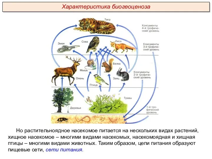 Но растительноядное насекомое питается на нескольких видах растений, хищное насекомое