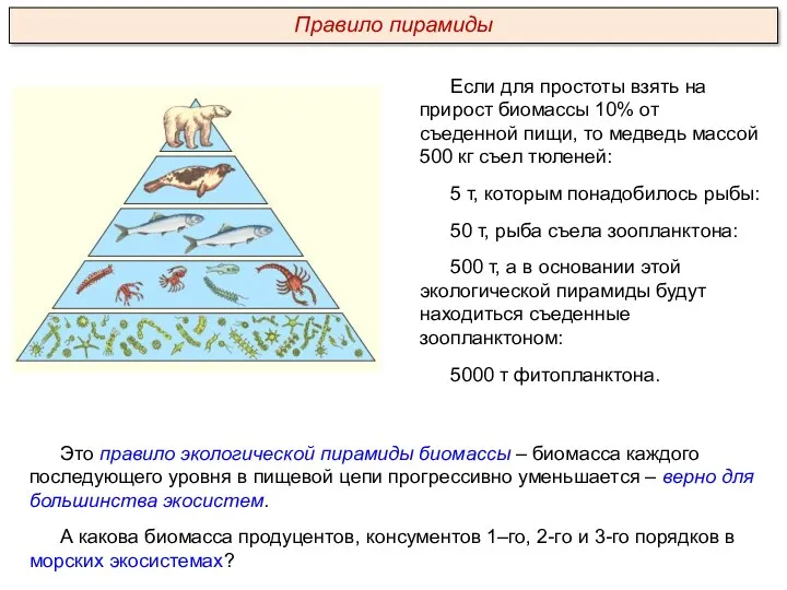 Если для простоты взять на прирост биомассы 10% от съеденной