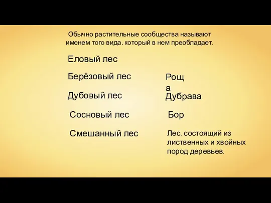 Берёзовый лес Роща Дубовый лес Дубрава Сосновый лес Бор Смешанный