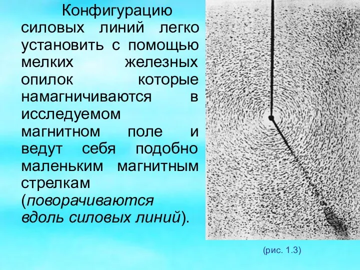 Конфигурацию силовых линий легко установить с помощью мелких железных опилок