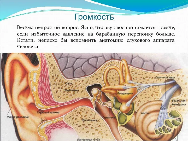 Громкость Весьма непростой вопрос. Ясно, что звук воспринимается громче, если