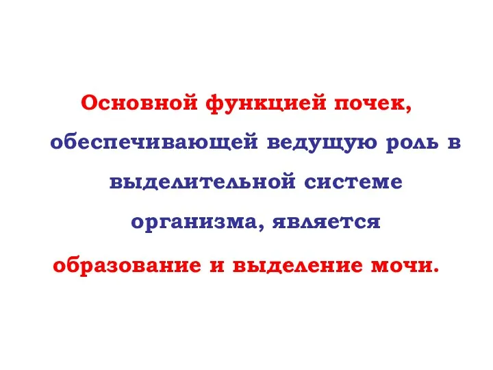 Основной функцией почек, обеспечивающей ведущую роль в выделительной системе организма, является образование и выделение мочи.