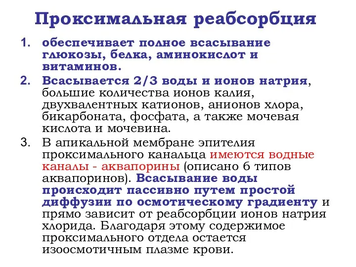 Проксимальная реабсорбция обеспечивает полное всасывание глюкозы, белка, аминокислот и витаминов.