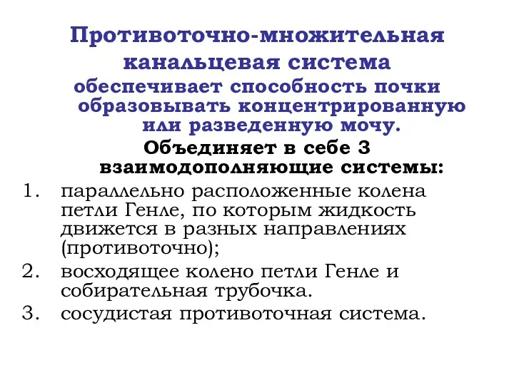 Противоточно-множительная канальцевая система обеспечивает способность почки образовывать концентрированную или разведенную