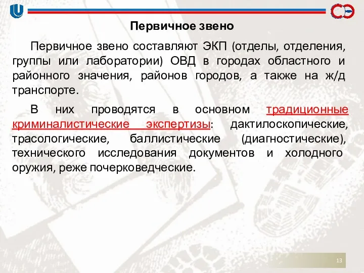 Первичное звено Первичное звено составляют ЭКП (отделы, отделения, группы или